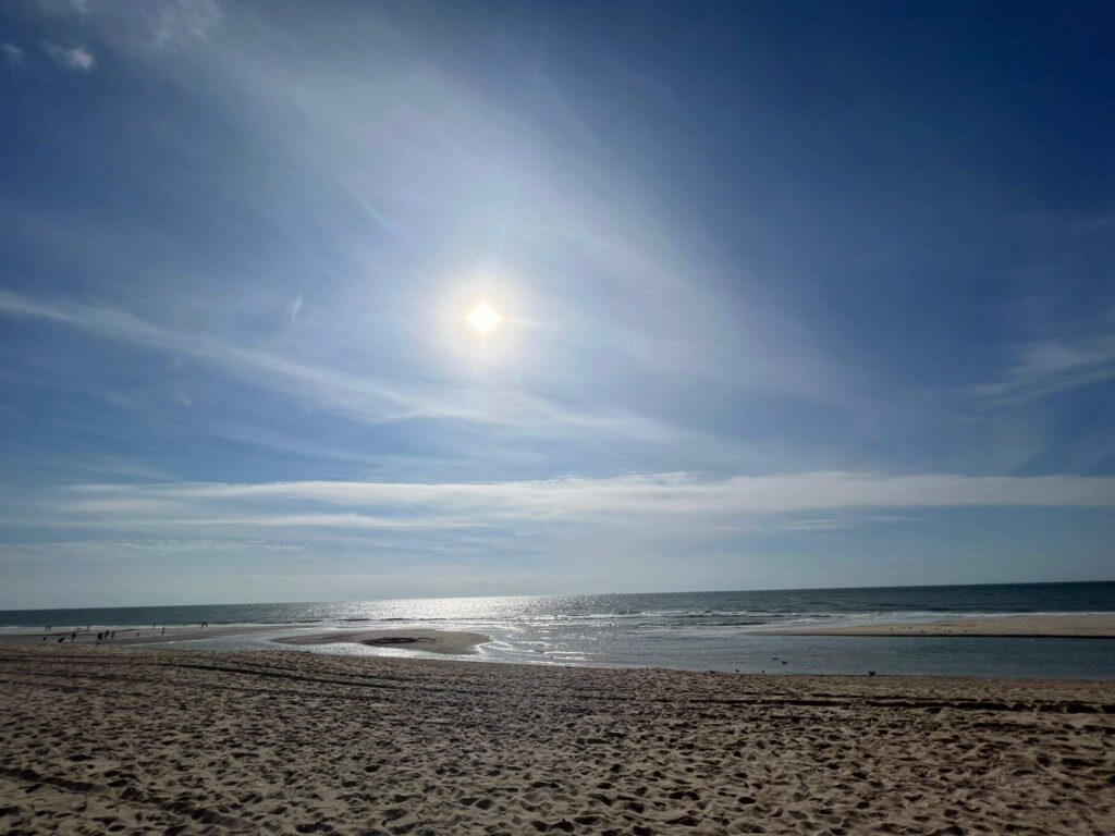 Immer diese Zuversicht